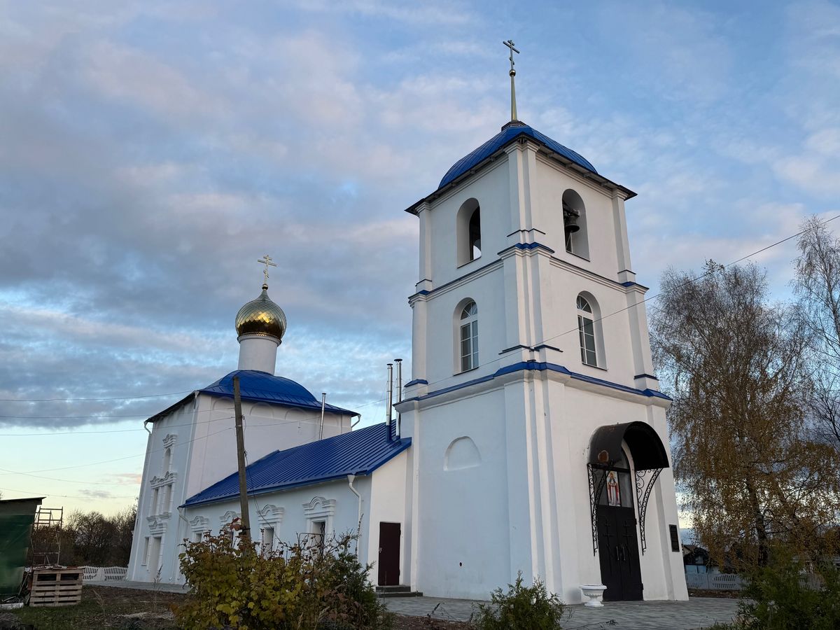 общий вид в ландшафте. Церковь Николая Чудотворца (Покрова Пресвятой Богородицы), Берёзово (Шиловский район, Рязанская область)