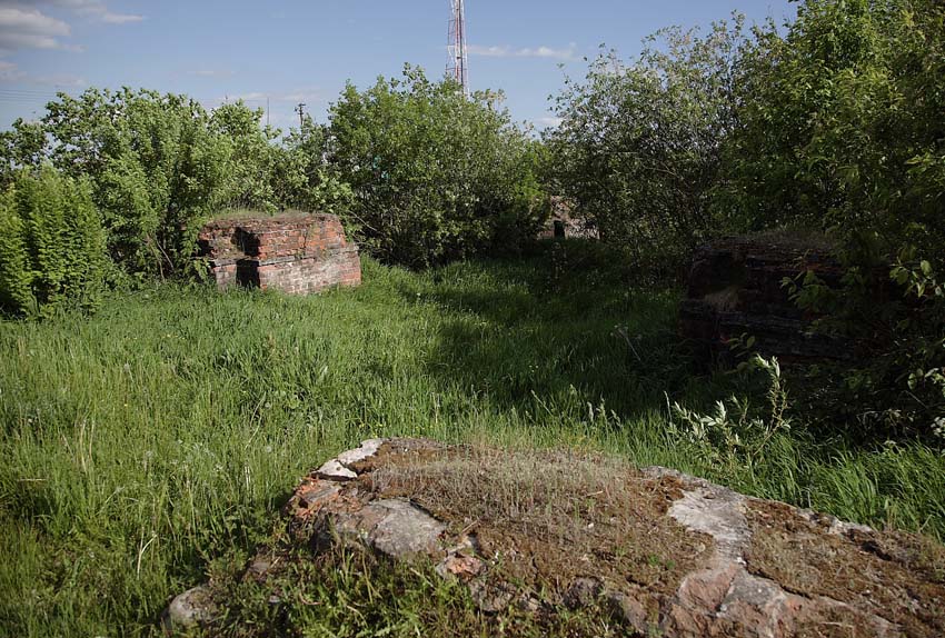 Церковь Троицы Живоначальной, Богородское (Мышкинский район, Ярославская область). дополнительная информация
