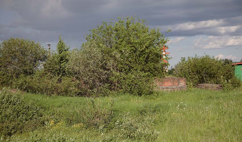 Церковь Троицы Живоначальной, Богородское (Мышкинский район, Ярославская область). дополнительная информация