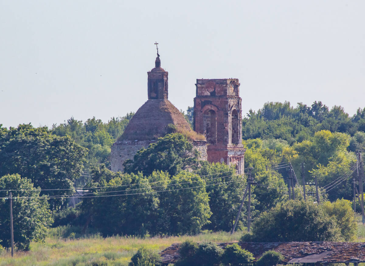 Церковь Троицы Живоначальной, Тормасово (Ефремов, город, Тульская область). фасады, Вид с севера