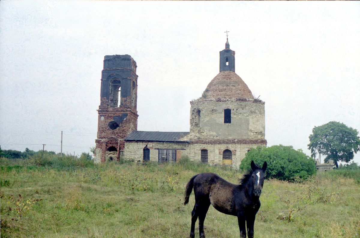 фасады. Церковь Троицы Живоначальной, Тормасово (Ефремовский район, Тульская область)