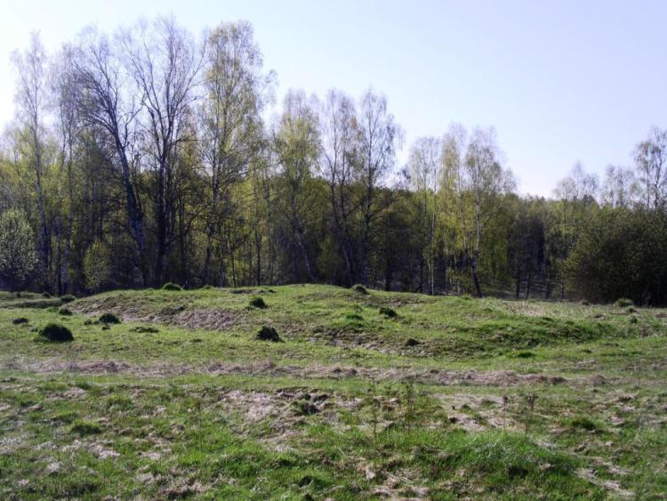 Церковь Успения Пресвятой Богородицы, Сетунь, урочище (Малоярославецкий район, Калужская область). дополнительная информация, место церкви, видны контуры разрушенной постройки