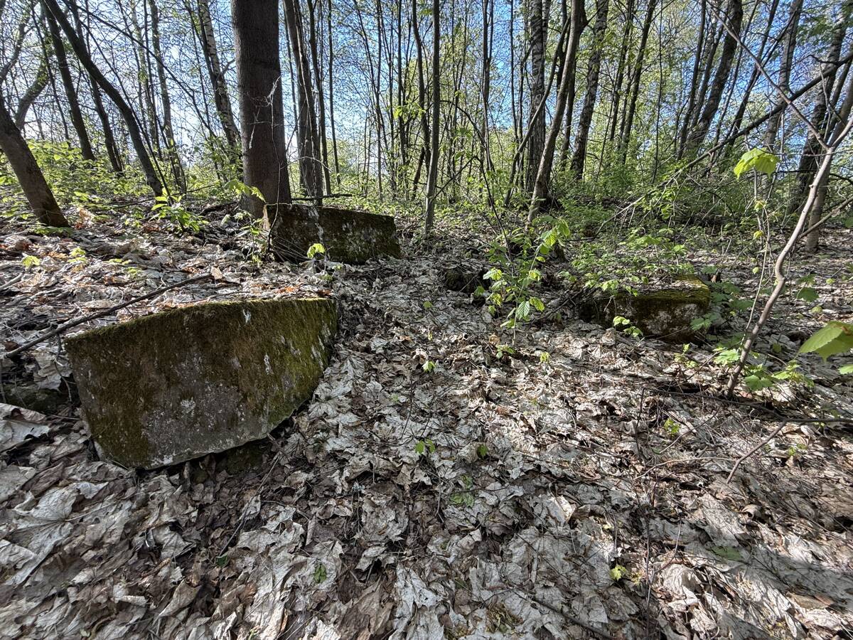 Церковь Николая Чудотворца, Никола-Крюк, урочище (Дубенский район, Тульская область). дополнительная информация, Каменные блоки основания храма