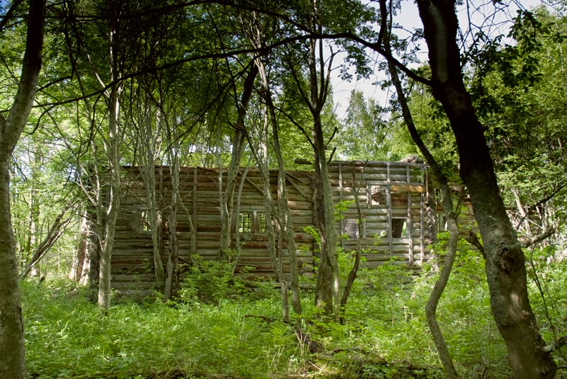 Церковь Илии Пророка, Лукостровская, урочище (Пудожский район, Республика Карелия). общий вид в ландшафте