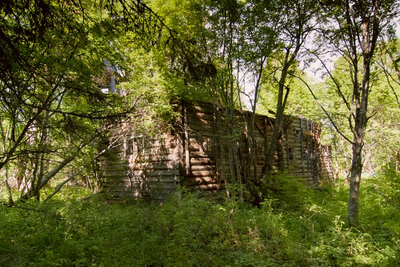 Церковь Илии Пророка, Лукостровская, урочище (Пудожский район, Республика Карелия). общий вид в ландшафте