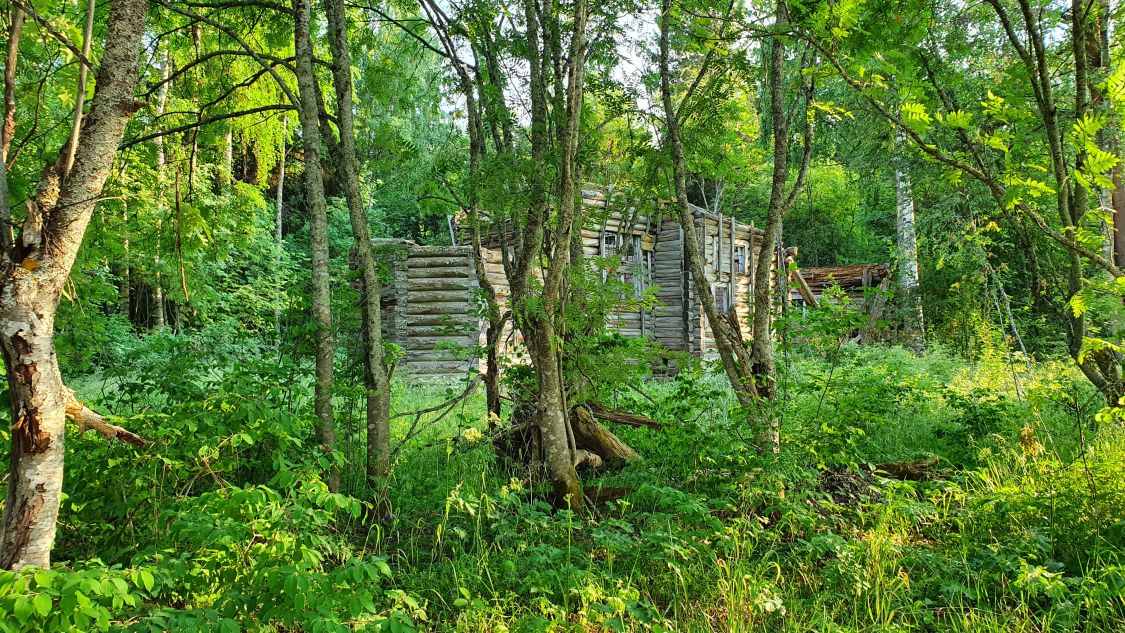 Лукостровская, урочище. Церковь Илии Пророка. фасады