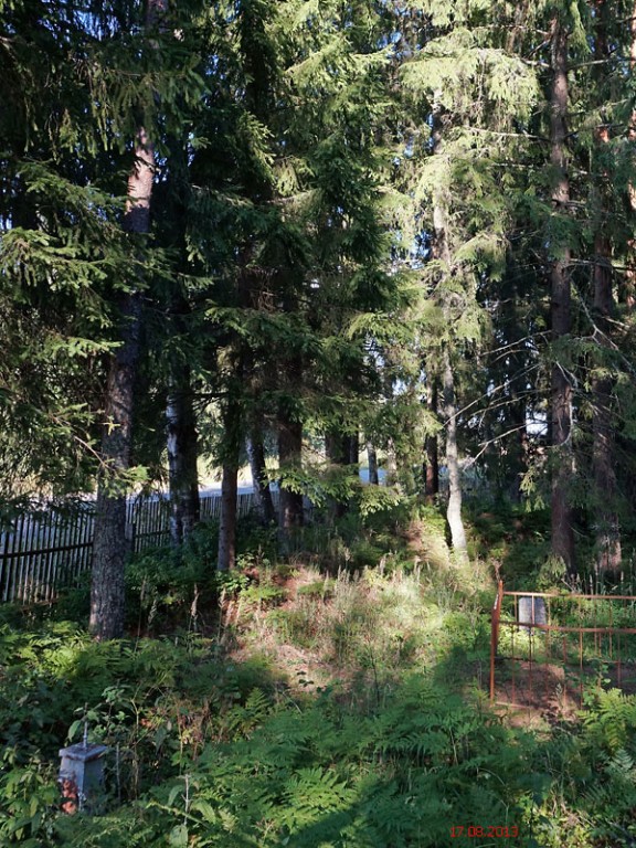 Церковь  Николая Чудотворца, Рожня, погост (Андреапольский район, Тверская область). дополнительная информация
