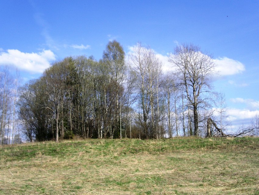 Церковь Троицы Живоначальной, Неворож (Навереж), погост (Андреапольский район, Тверская область). общий вид в ландшафте, общий вид погоста Неворож