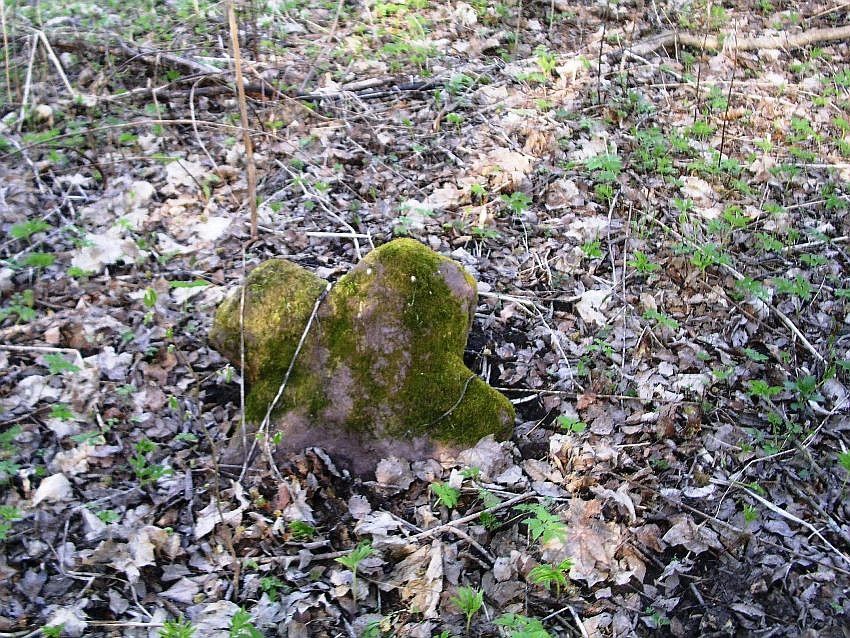 Неворож (Навереж), погост. Церковь Троицы Живоначальной. дополнительная информация, древний ? путевой ? крест