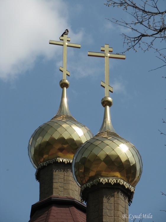 Церковь Сошествия Святого Духа, Октябрьский (Люберецкий городской округ, гг. Лыткарино, Котельники, Московская область). архитектурные детали