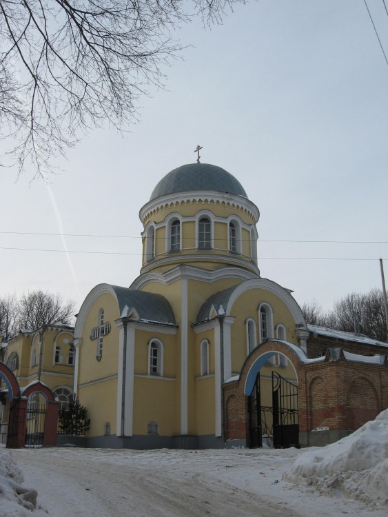 Пенза. Церковь Благовещения Пресвятой Богородицы (крестильная). общий вид в ландшафте