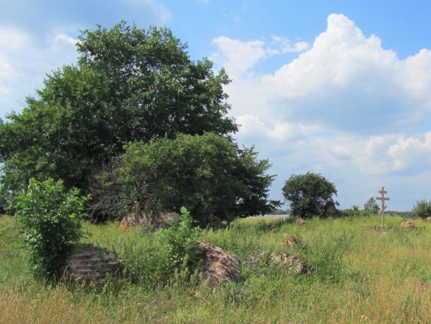 Церковь Параскевы Пятницы, Карники (Венёвский район, Тульская область). общий вид в ландшафте