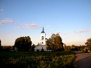Церковь Рождества Пресвятой Богородицы, , Новая Ольшанка, Нижнедевицкий район, Воронежская область
