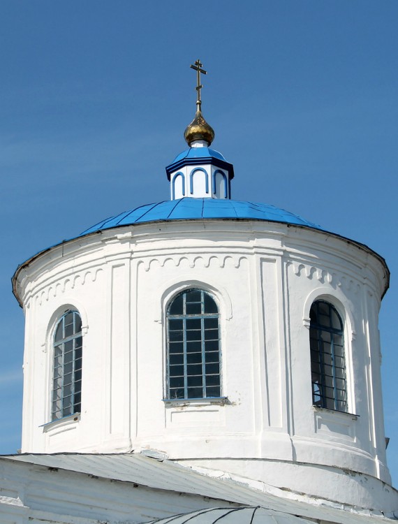 Церковь Рождества Пресвятой Богородицы, Новая Ольшанка (Нижнедевицкий район, Воронежская область). архитектурные детали, купол