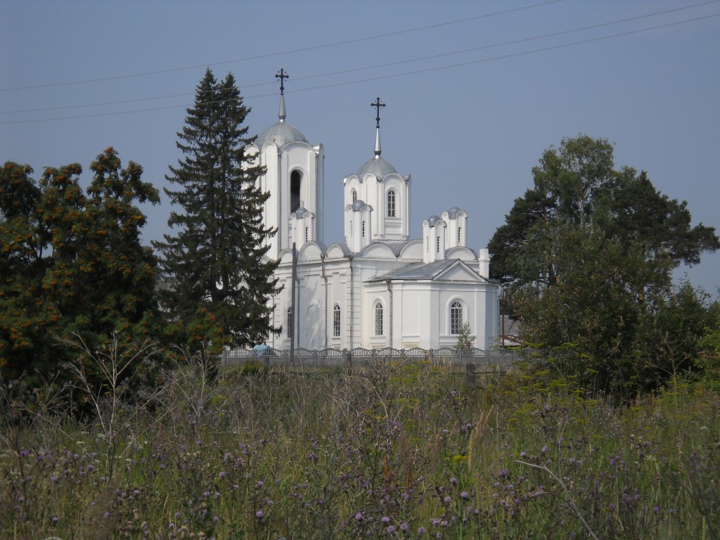 Кошуки. Церковь Прокопия Устюжского. общий вид в ландшафте