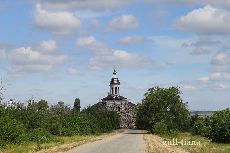 Дубовка. Вознесенский женский монастырь. общий вид в ландшафте