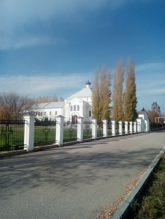 Дубовка. Вознесенский женский монастырь. фасады