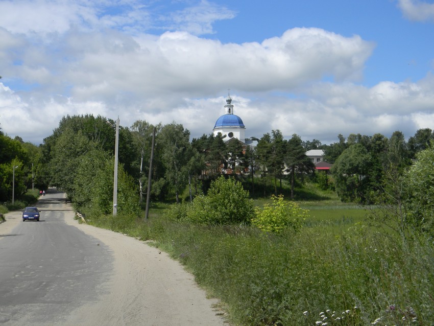 Богородское. Церковь Успения Пресвятой Богородицы. общий вид в ландшафте