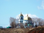 Церковь Казанской иконы Божией Матери, , Большое Фролово, Буинский район, Республика Татарстан