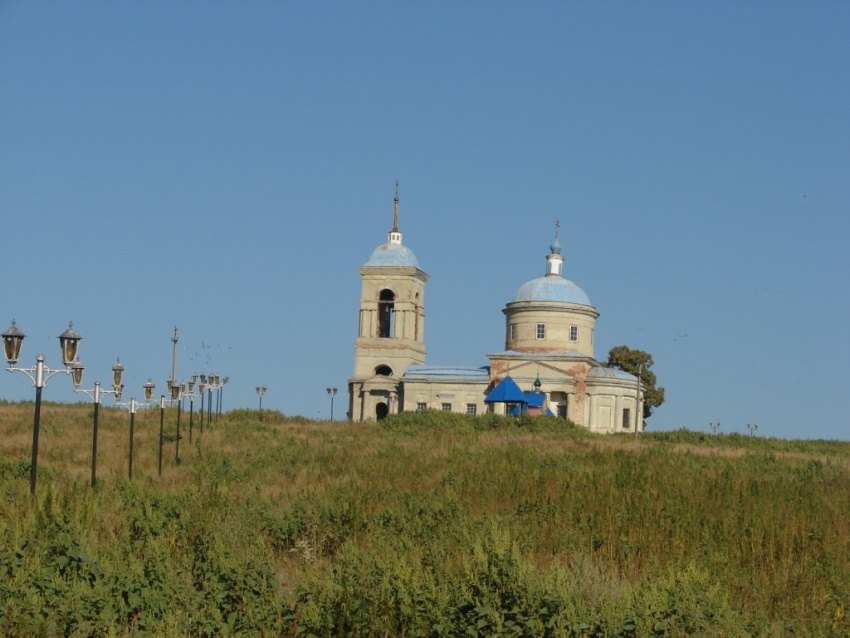 Церковь Покрова Пресвятой Богородицы, Сосновка (Аткарский район, Саратовская область). общий вид в ландшафте