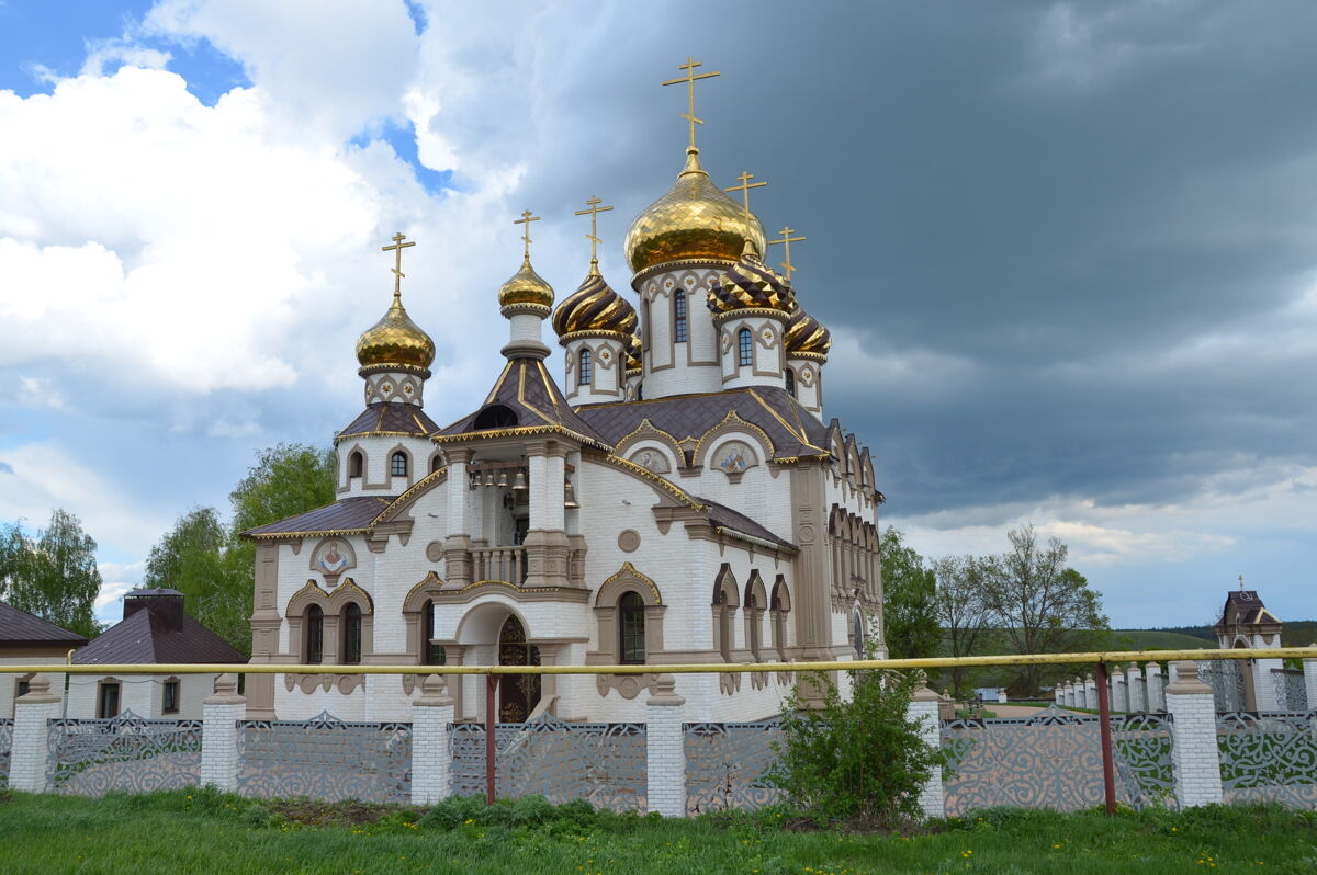 Церковь Космы и Дамиана, Вячка (Кирсановский район и г. Кирсанов, Тамбовская область). фасады