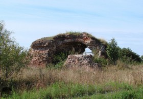 Шемятино. Церковь Владимирской иконы Божией Матери