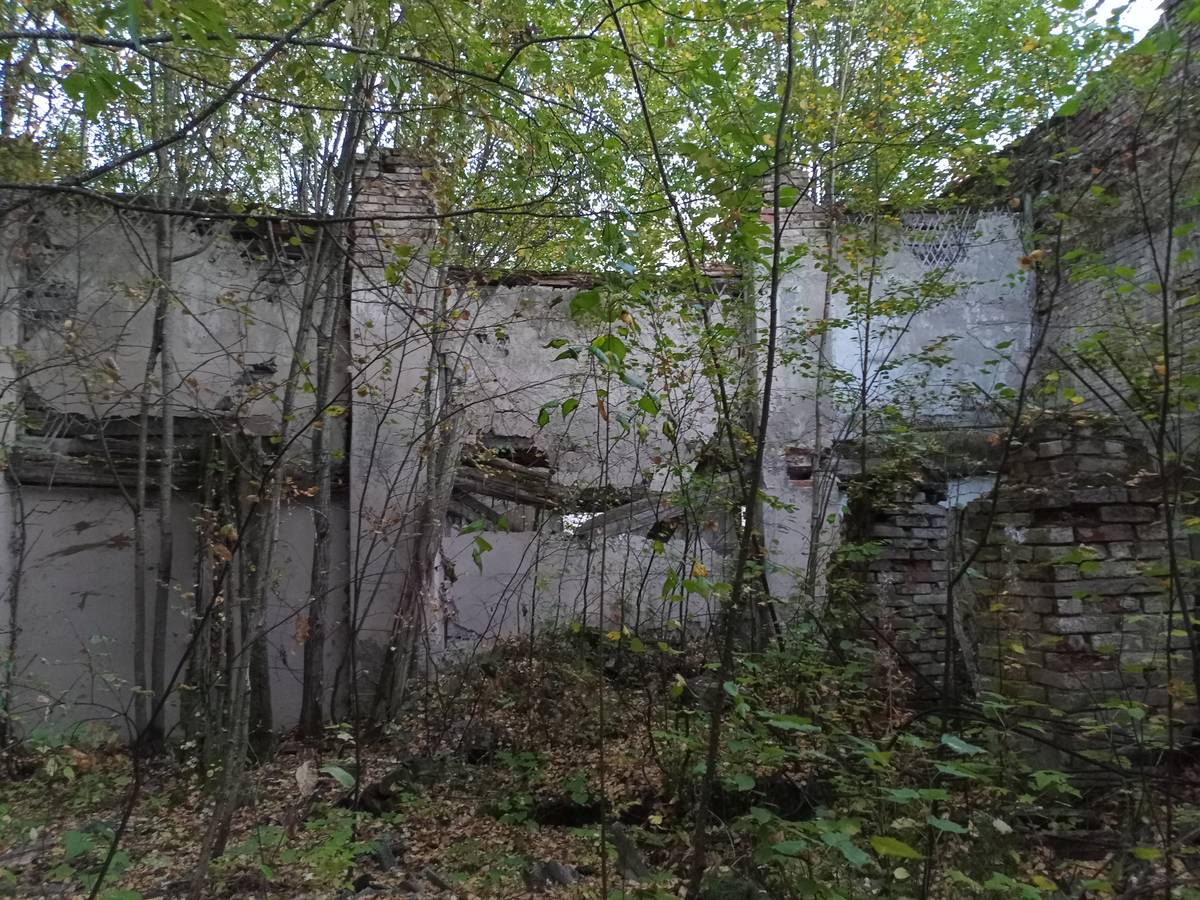 Церковь Спаса Нерукотворного Образа, Верхнеспасское (Пыщугский район, Костромская область). архитектурные детали