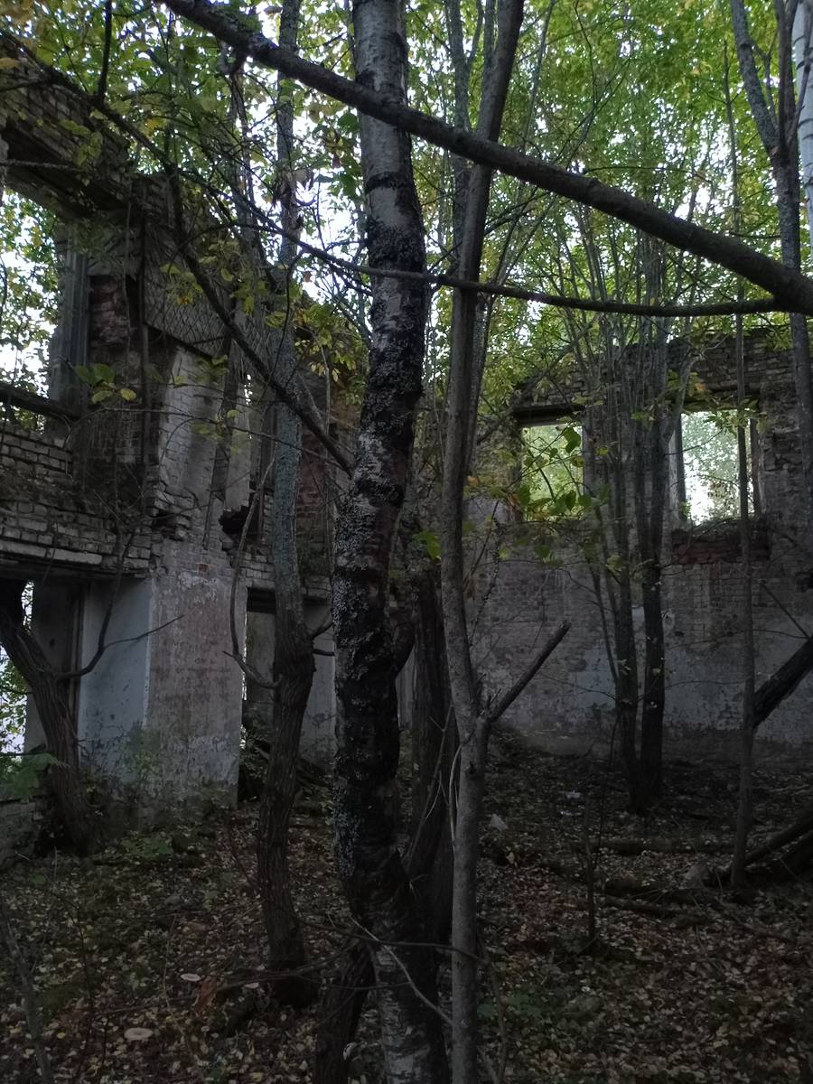 Церковь Спаса Нерукотворного Образа, Верхнеспасское (Пыщугский район, Костромская область). архитектурные детали