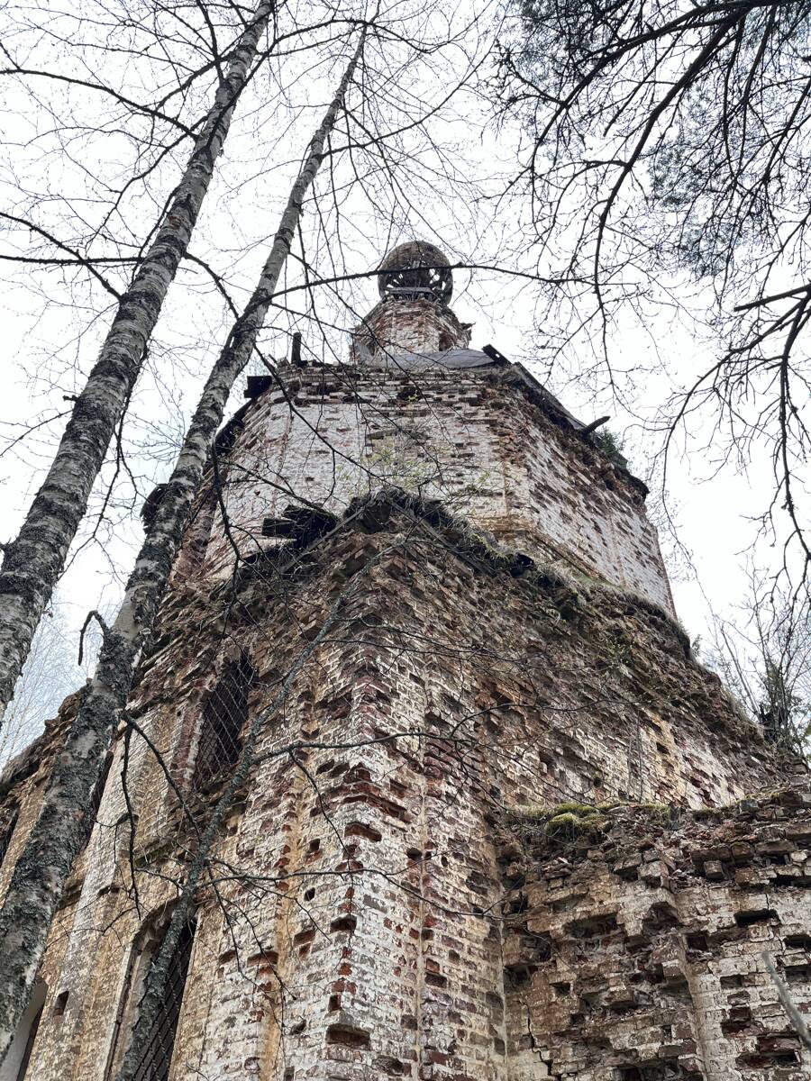 Церковь Параскевы Пятницы, Федорково (Кирилловский район, Вологодская область). архитектурные детали