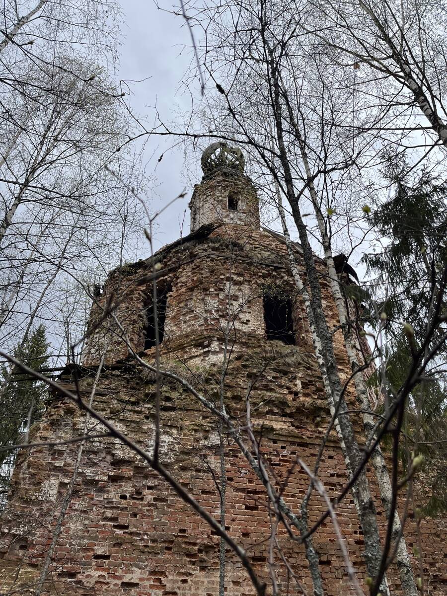 Церковь Параскевы Пятницы, Федорково (Кирилловский район, Вологодская область). архитектурные детали