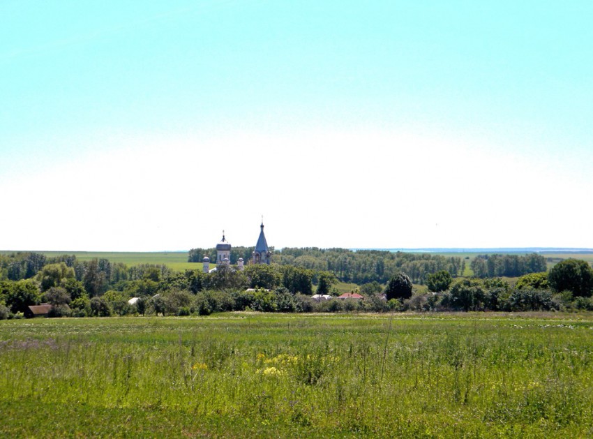 Церковь Василия Великого, Пушкарное (Суджанский район, Курская область). общий вид в ландшафте