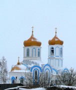 Покровский Александро-Невский женский монастырь. Собор Александра Невского - Колывань - Колыванский район - Новосибирская область