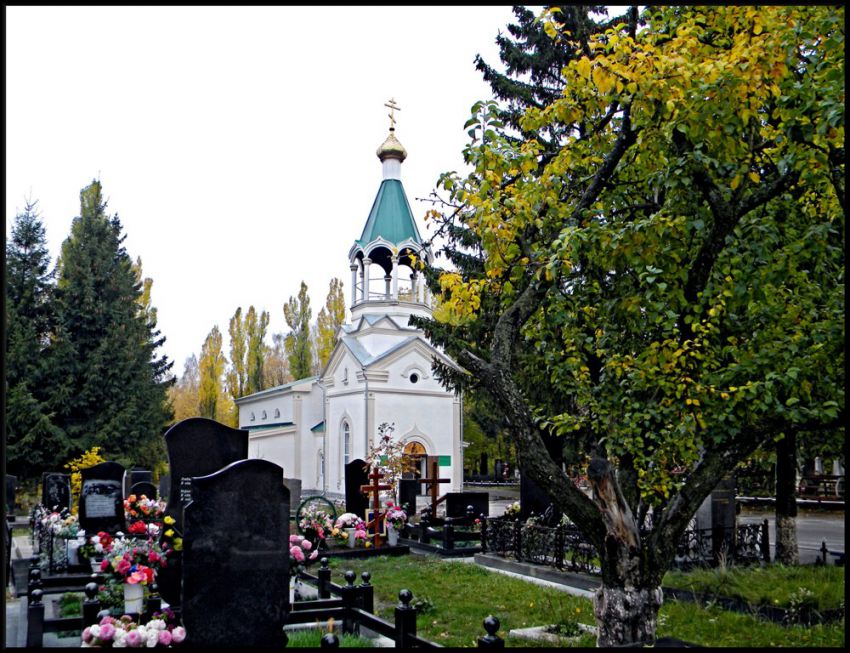 Церковь Лазаря Четверодневного на старой территории Северного кладбища, Курск (Курск, город, Курская область). общий вид в ландшафте