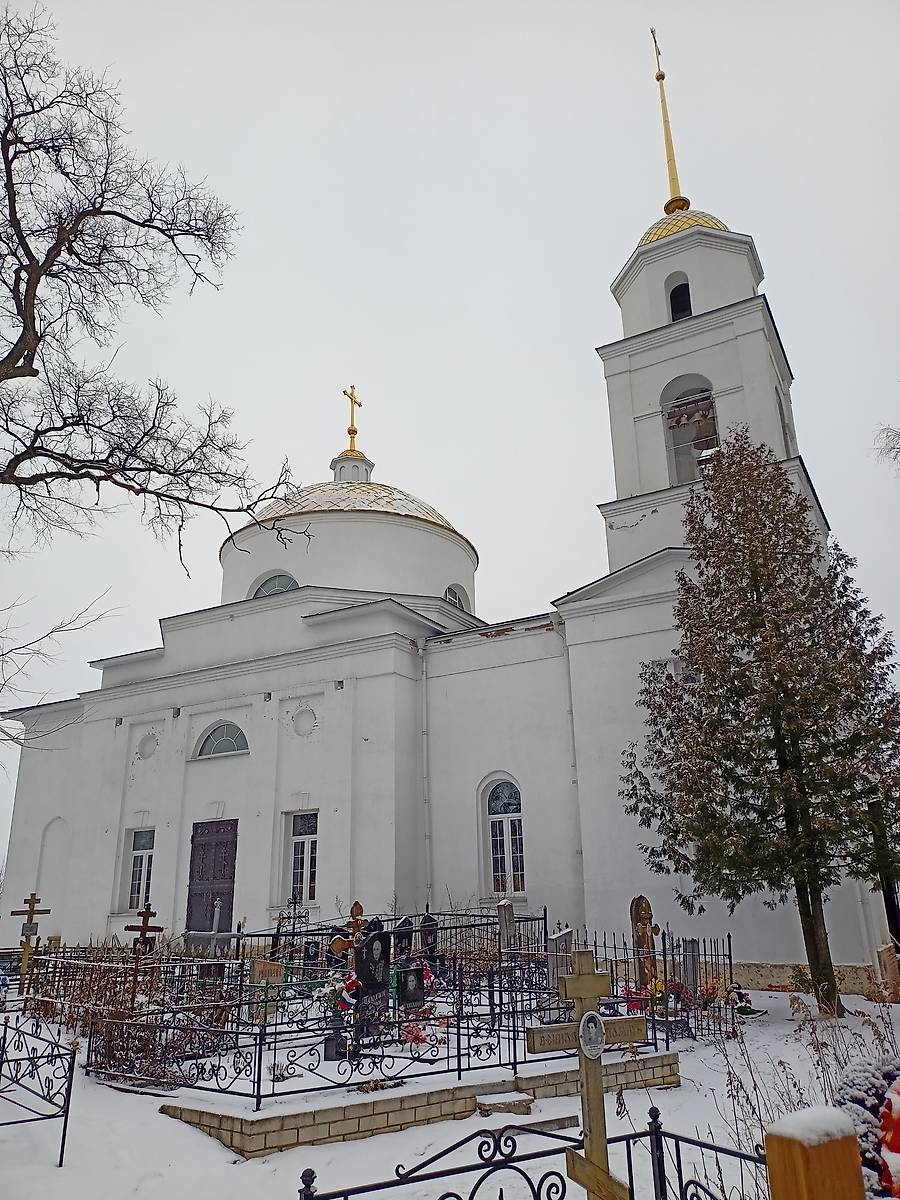 фасады. Церковь Успения Пресвятой Богородицы, Чаплыгин (Чаплыгинский район, Липецкая область)