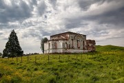 Церковь Рождества Пресвятой Богородицы - Прошково (Городок) - Онежский район - Архангельская область