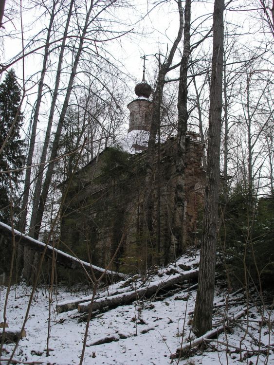 Церковь Николая Чудотворца, Никола-Вохтома, урочище (Чухломский район, Костромская область). общий вид в ландшафте