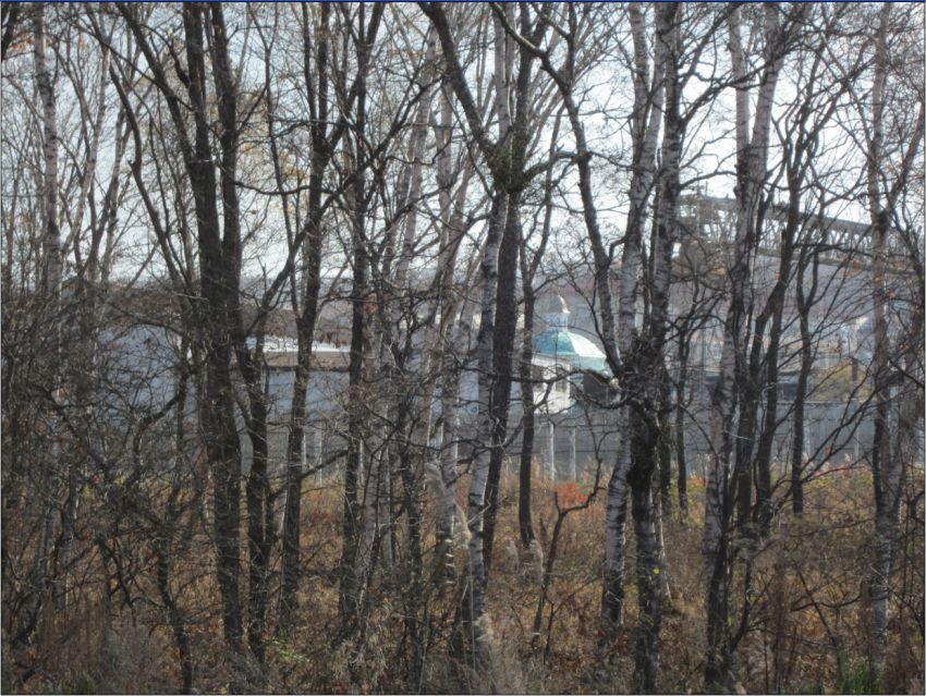 Церковь Рождества Христова, Большой Камень (Большой Камень, город, Приморский край). общий вид в ландшафте