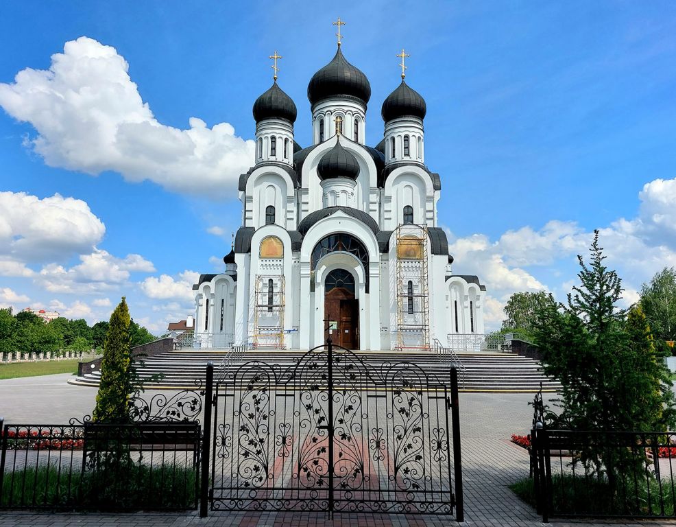 Собор Феодора Тирона, Пинск (Пинский район, Беларусь, Брестская область). фасады