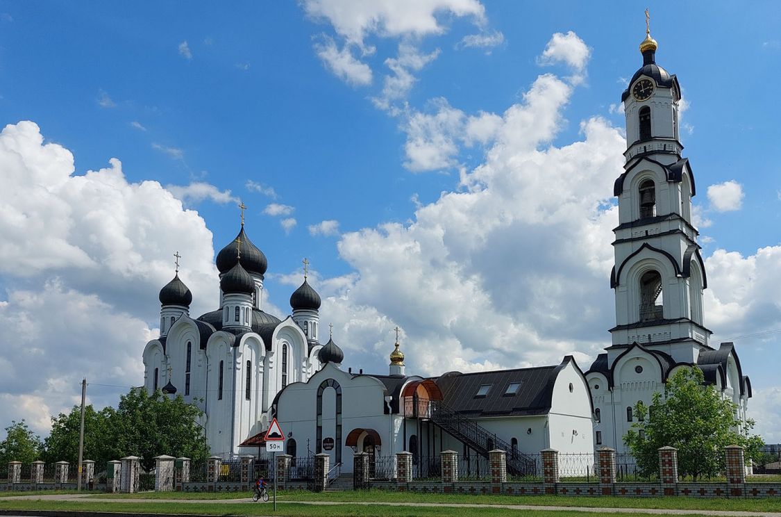 Собор Феодора Тирона, Пинск (Пинский район, Беларусь, Брестская область). фасады