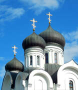 Собор Феодора Тирона, , Пинск, Пинский район, Беларусь, Брестская область