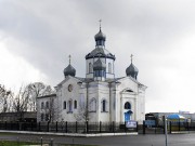 Церковь Покрова Пресвятой Богородицы, , Довск, Рогачёвский район, Беларусь, Гомельская область