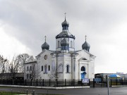 Церковь Покрова Пресвятой Богородицы, , Довск, Рогачёвский район, Беларусь, Гомельская область