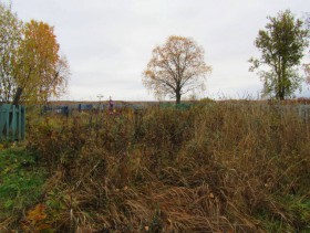 Клещёво. Церковь Сошествия Святого Духа