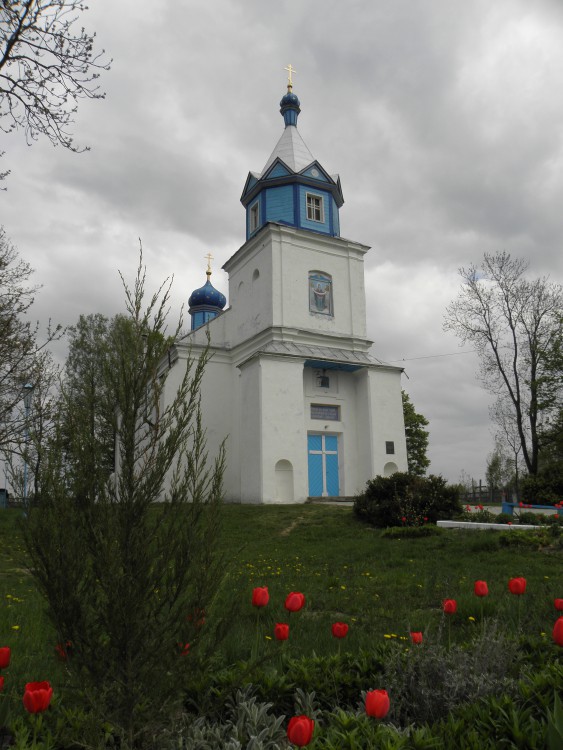 Церковь Покрова Пресвятой Богородицы, Буховичи (Кобринский район, Беларусь, Брестская область). общий вид в ландшафте