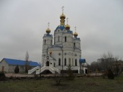 Луганск. Александра Невского, церковь