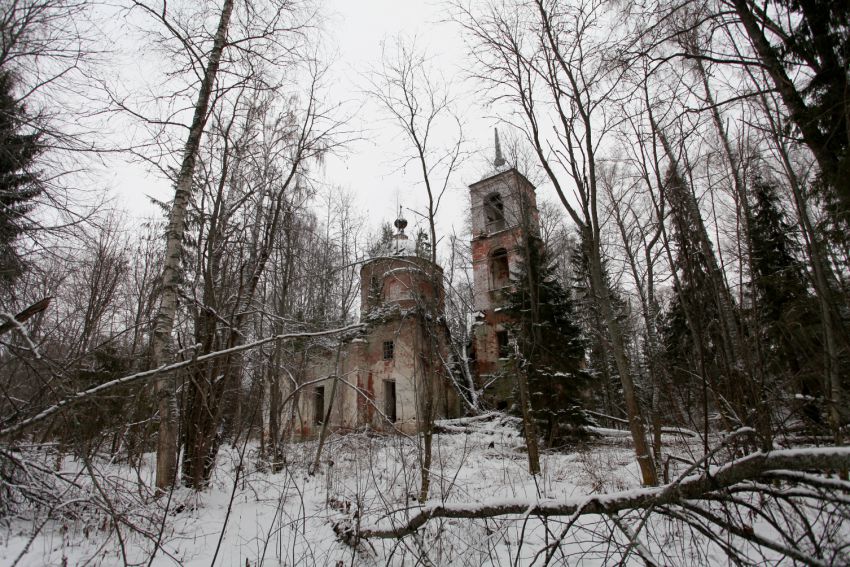 Наумово (Наумовский погост). Церковь Спаса Преображения. общий вид в ландшафте