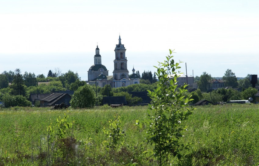 Церковь Введения во храм Пресвятой Богородицы, Ильинское (Немский район, Кировская область). общий вид в ландшафте