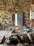 Добрыни. Успения Пресвятой Богородицы, церковь