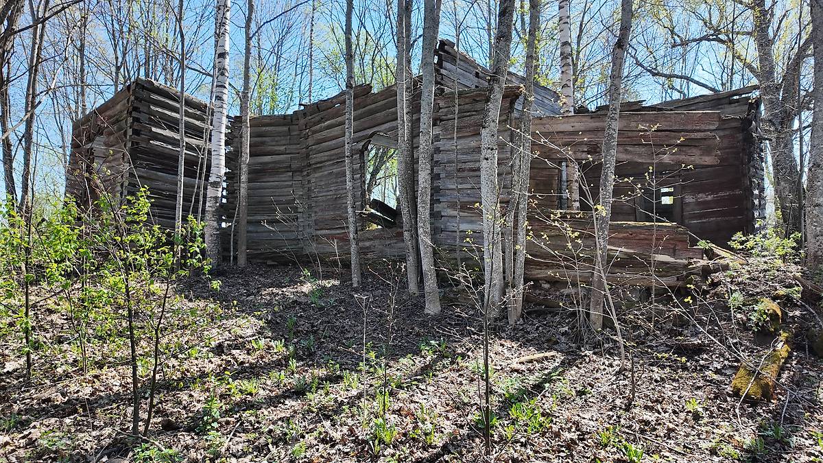 фасады. Церковь Троицы Живоначальной, Маклок (Велижский район, Смоленская область)