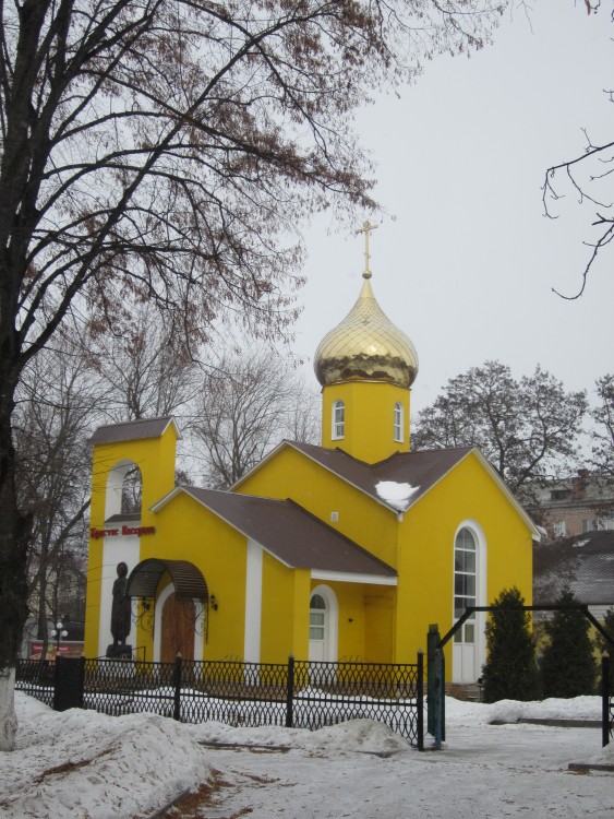 Клинцы. Церковь Александра Невского. общий вид в ландшафте